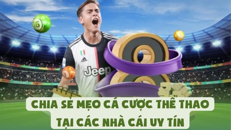 Chia Sẻ Mẹo Cá Cược Thể Thao Tại Các Nhà Cái Uy Tín