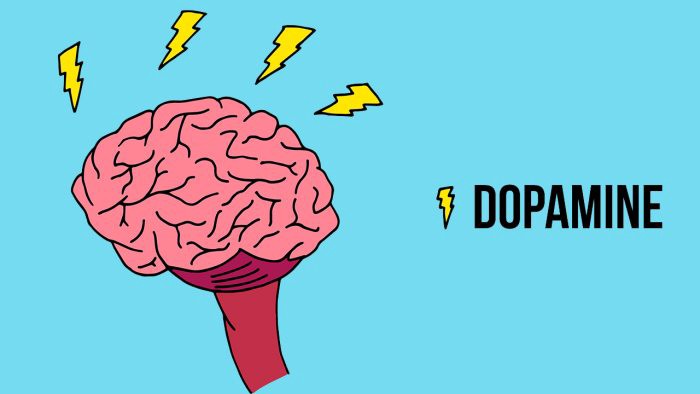 Hiệu Ứng Dopamine Trong Game Bài Đổi Thưởng Sunwin Là Gì?